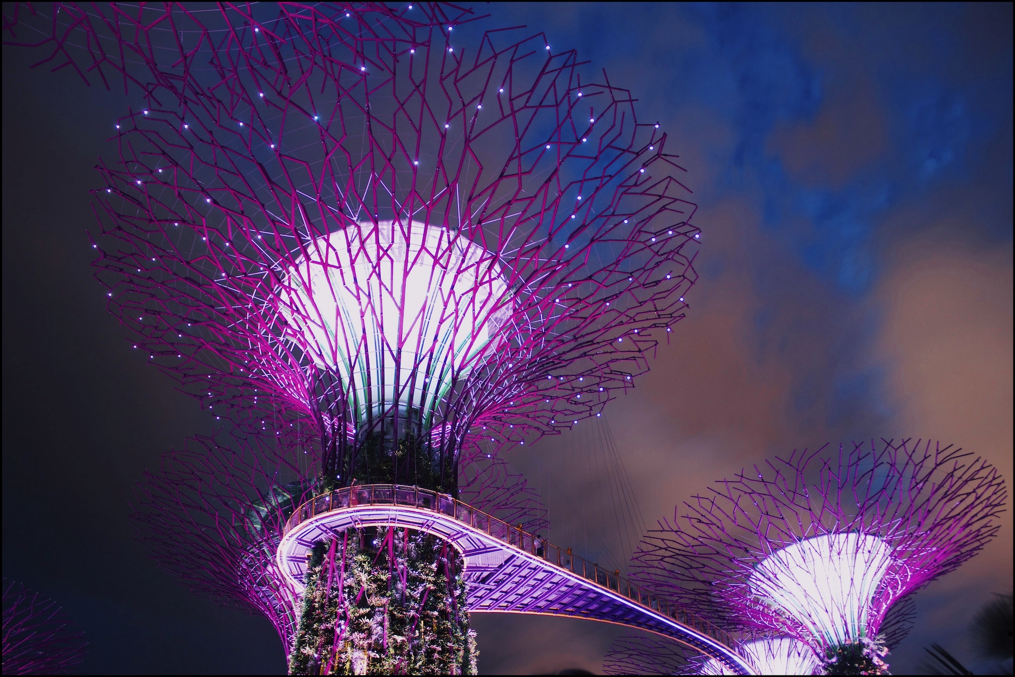 Man-made tree structures covered in plant-life and soft purple lighting, against the night sky