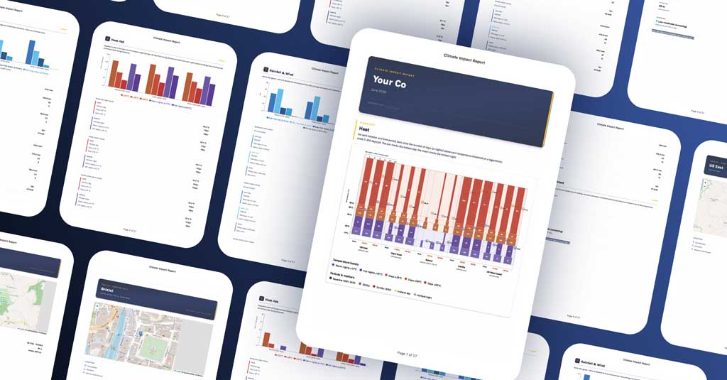A selection of screengrabs from an impact report with charts, maps and data.