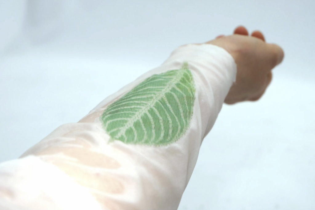 Leaf image printed on a sleeve