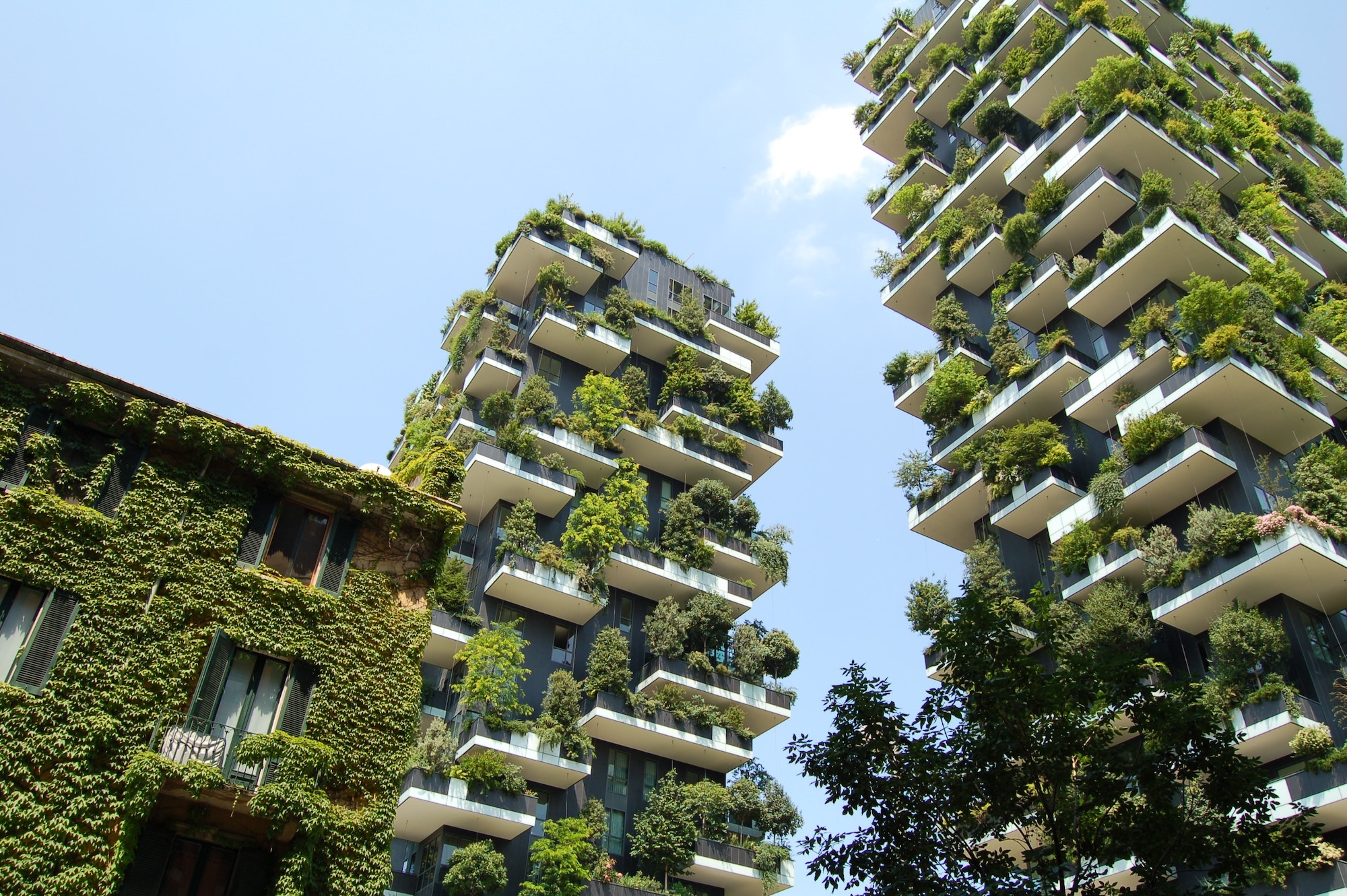 Three contemporary high-rise flats, covered in greenery and trees on every floor, set against a bright blue skyline.