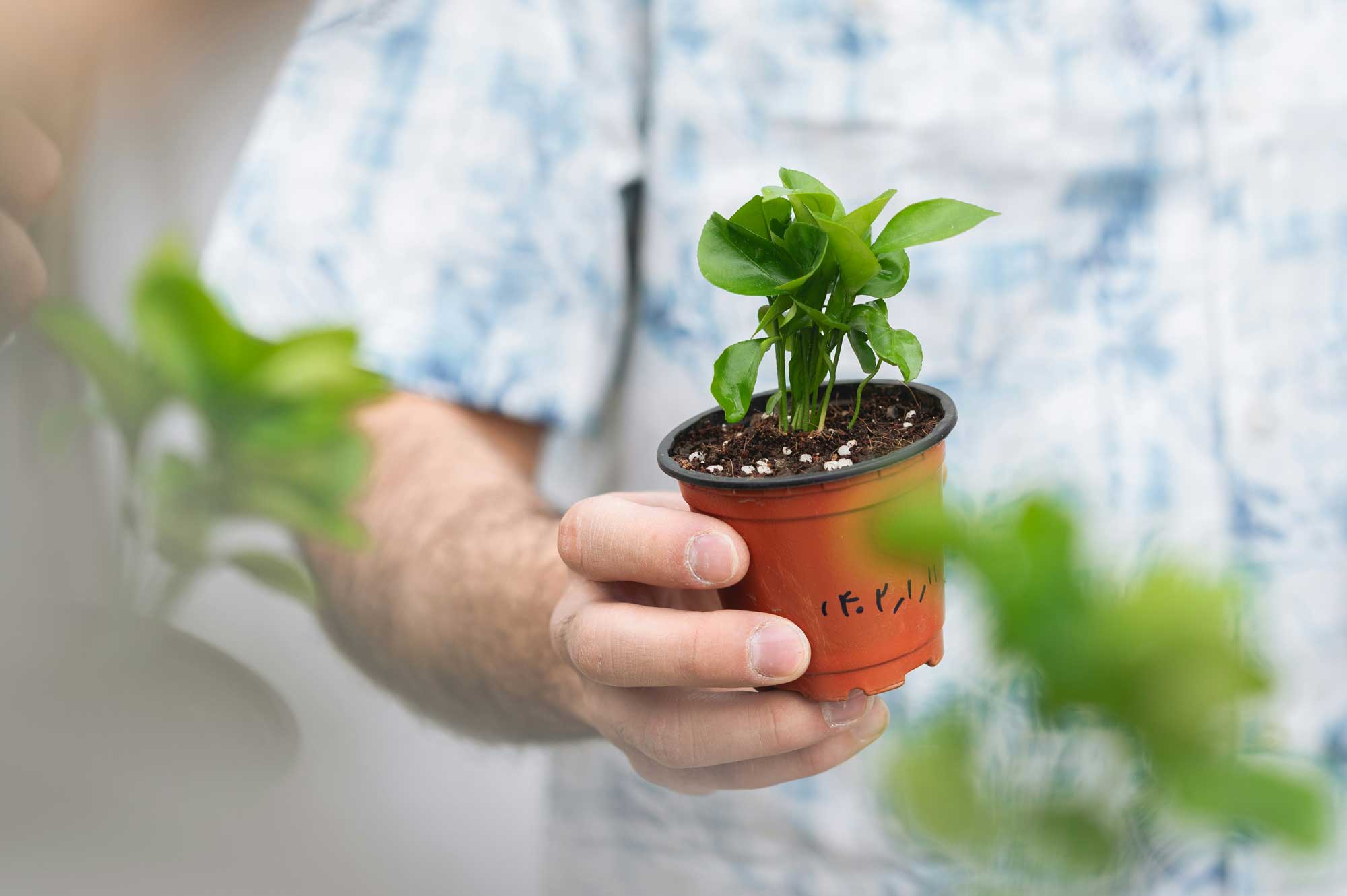 A person holding a small potted plant, talking to another person.