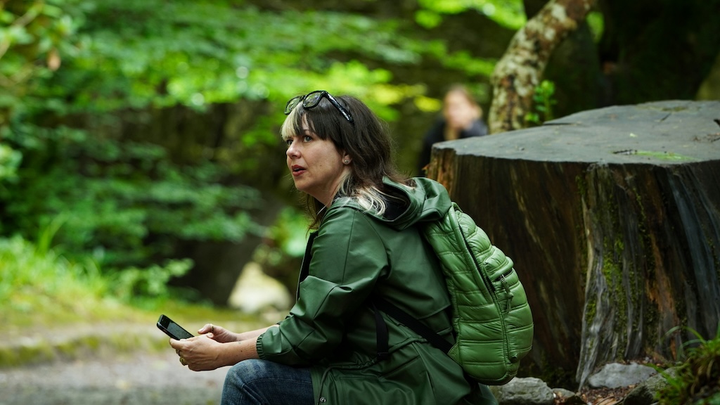 Person sat on a log in a forest, looking up to trees near a path while holding a phone, on a digital detox.